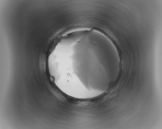 X0000115090446200911241216