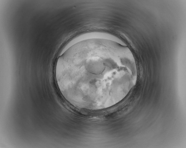 X0000115090447200911241216