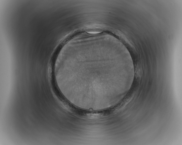 X0000115090448200911241217