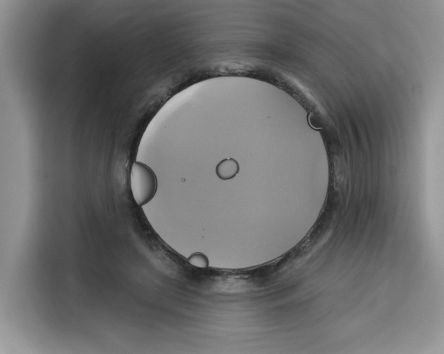 X0000115090451200911241217