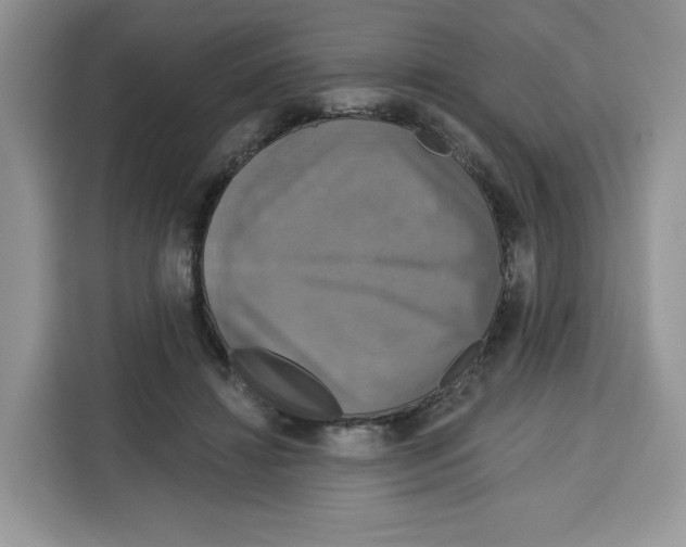 X0000115090452200911241217