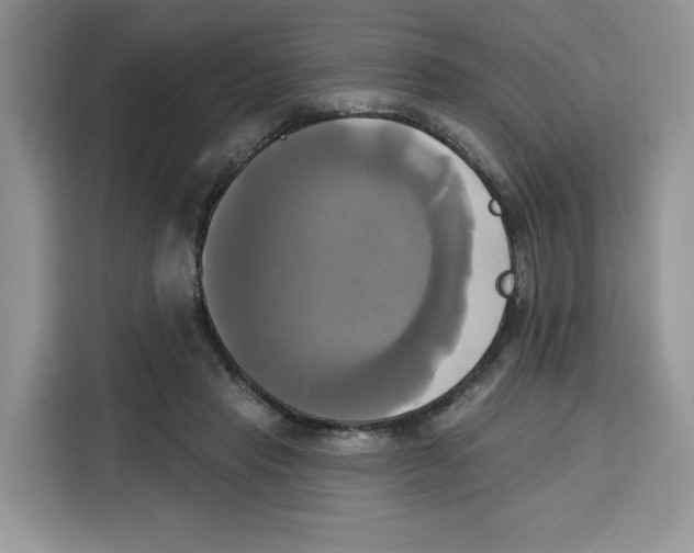 X0000115090453200911241217