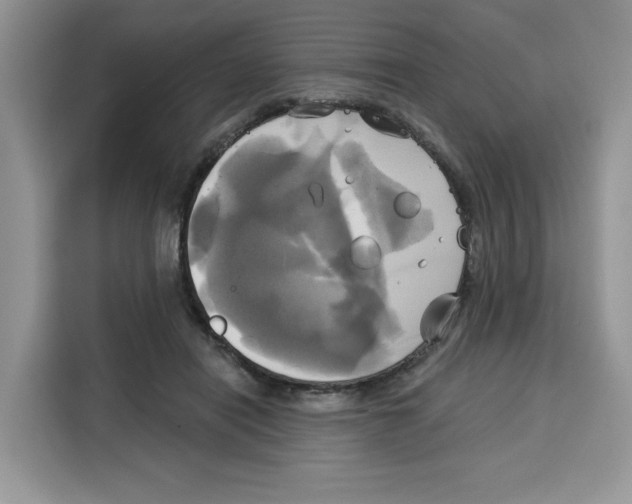 X0000115090454200911241217