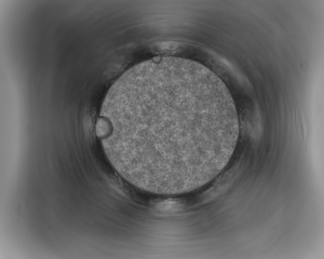X0000115090460200911241217