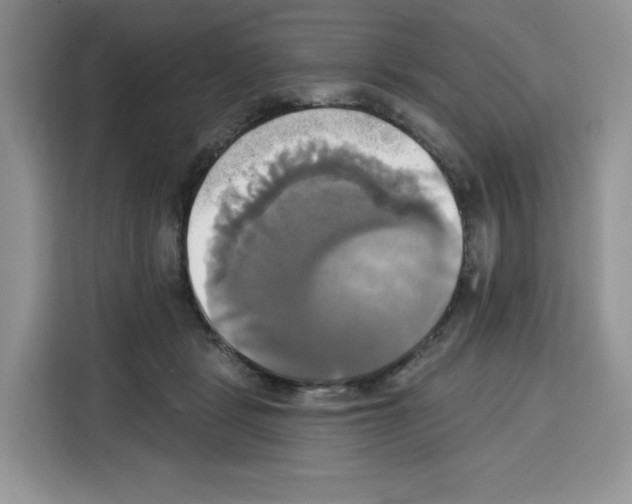 X0000115090461200911241217