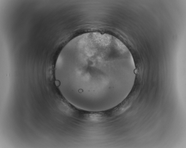 X0000115090462200911241217