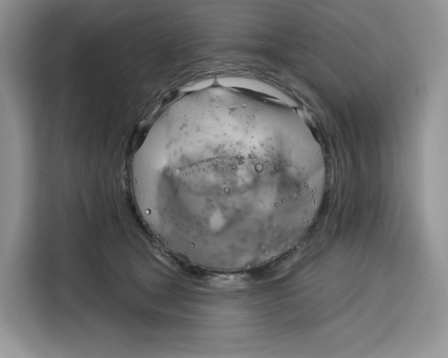 X0000115090465200911241217