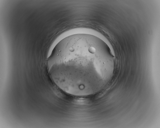 X0000115090467200911241217