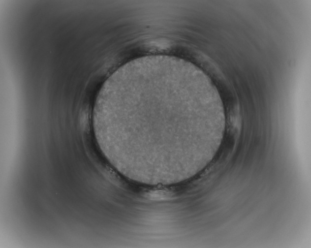 X0000115090468200911241217