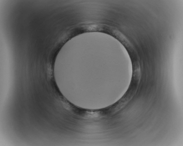 X0000115090469200911241217