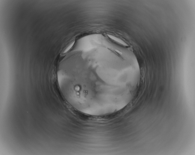 X0000115090471200911241217