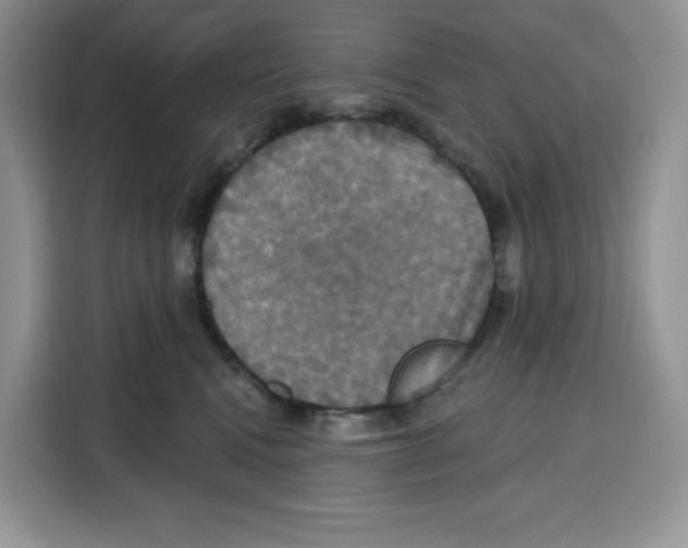 X0000115090472200911241217