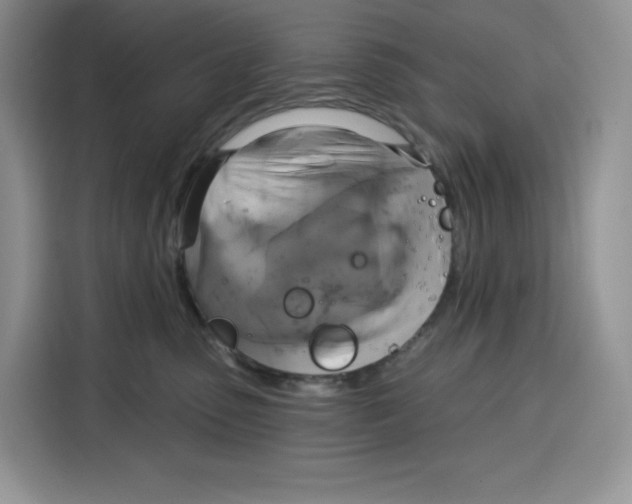 X0000115090475200911241217