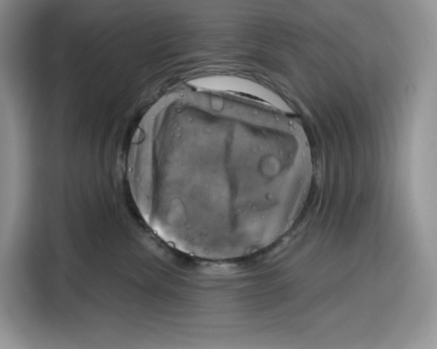 X0000115090476200911241217