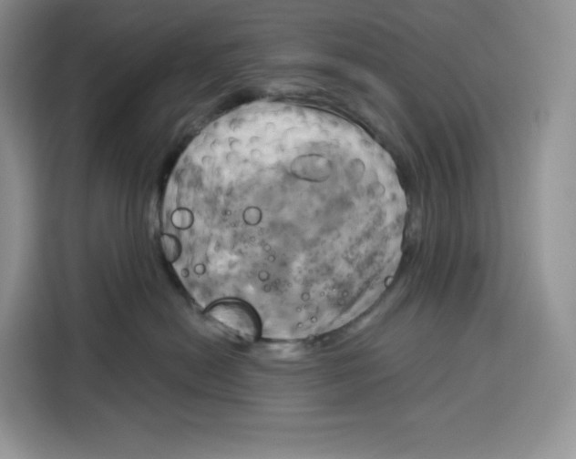 X0000115090478200911241217
