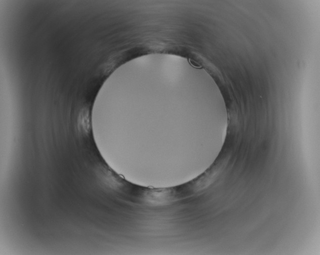 X0000115090479200911241217