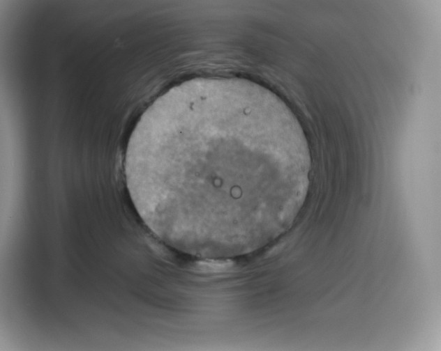 X0000115090480200911241217