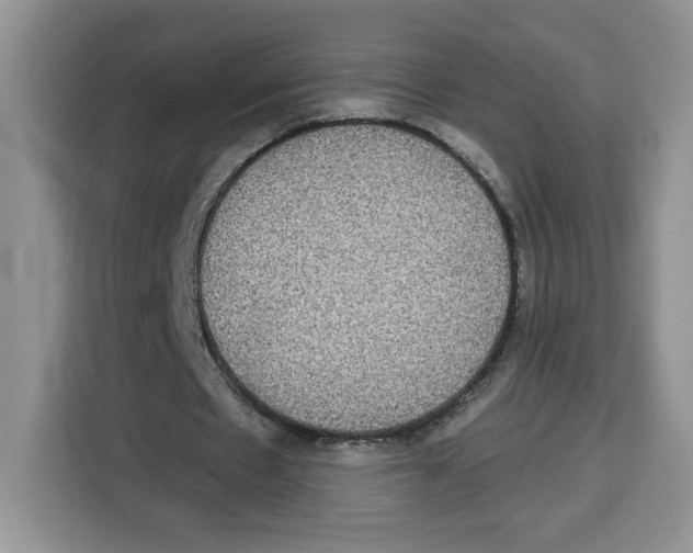 X0000115090481200911241216