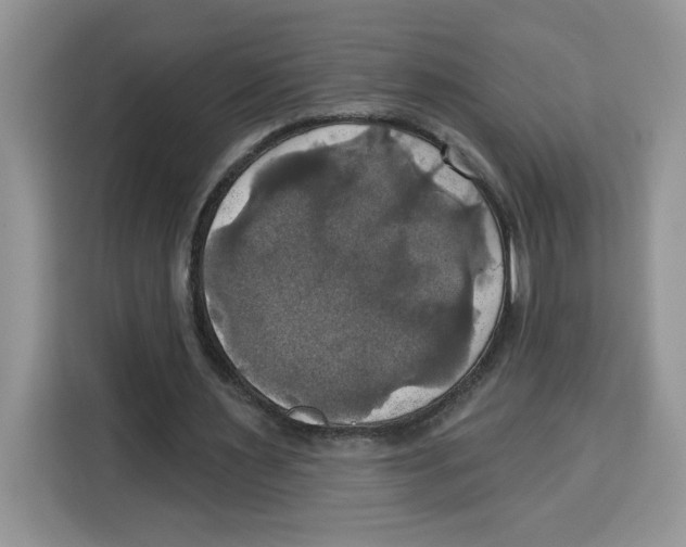 X0000115090483200911241216
