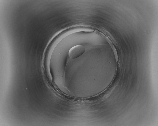 X0000115090484200911241216