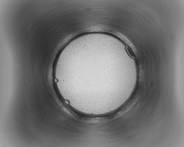 X0000115090485200911241216