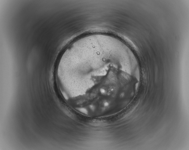 X0000115090487200911241216