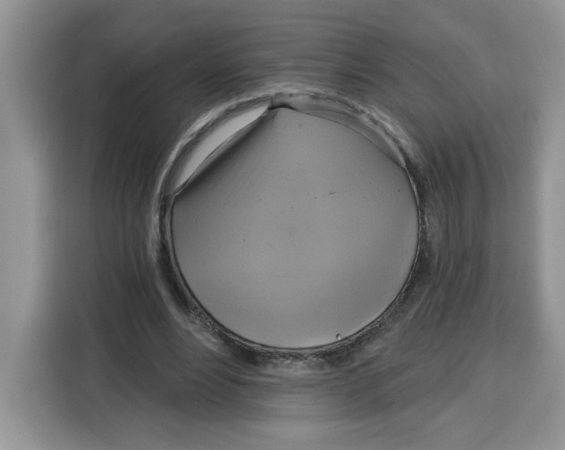 X0000115090488200911241216