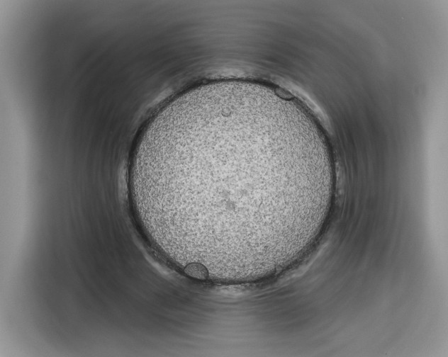 X0000115090489200911241216
