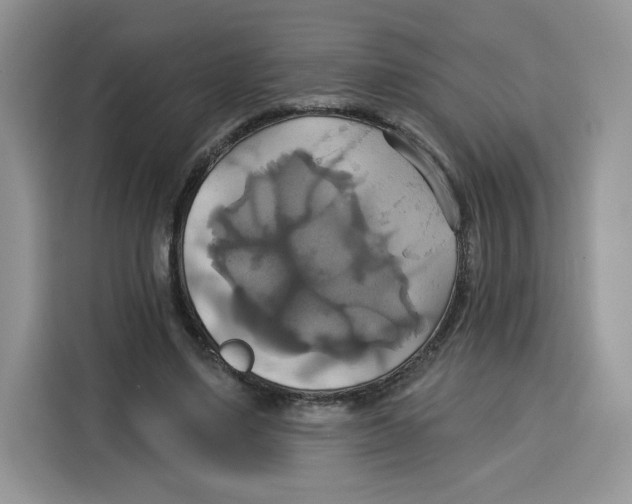 X0000115090491200911241216