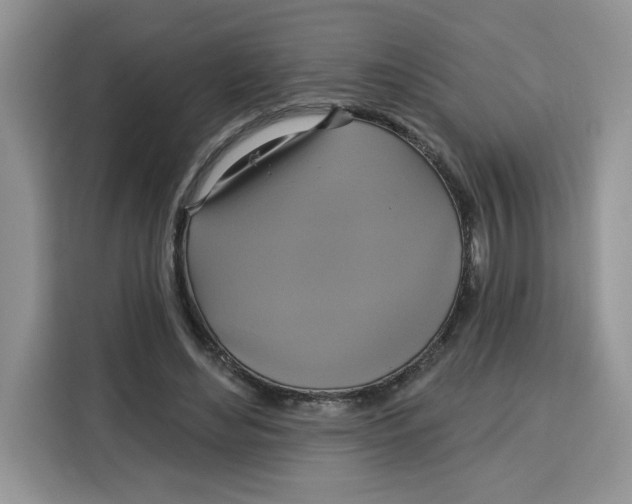 X0000115090492200911241216