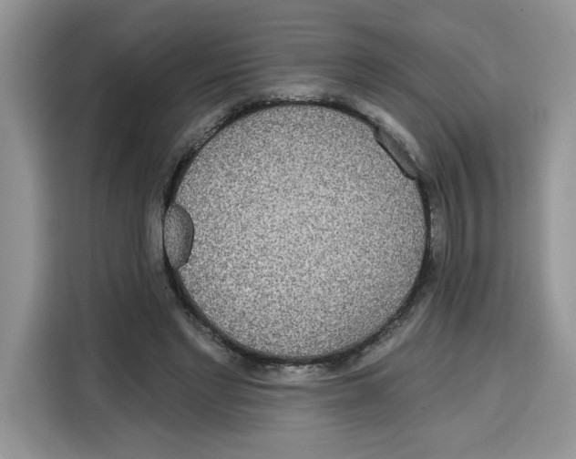 X0000115090493200911241216