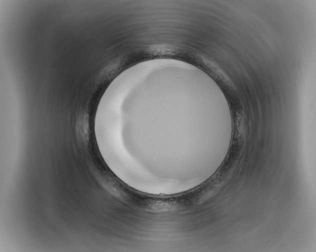 X0000115090494200911241216