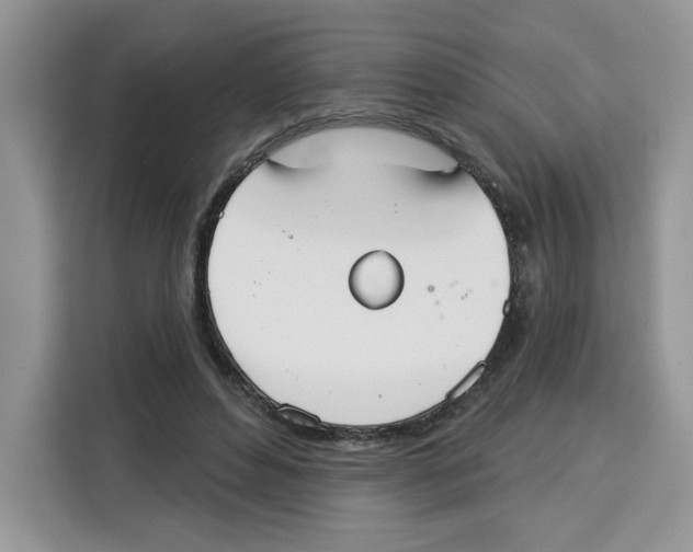X0000115090496200911241216
