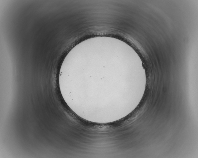 X0000115090497200911241216