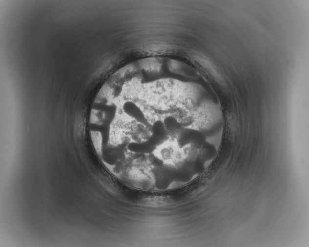 X0000115090499200911241216