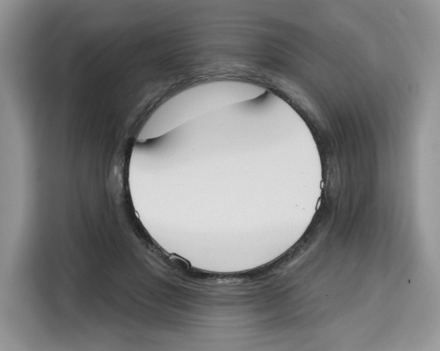 X0000115090501200911241216