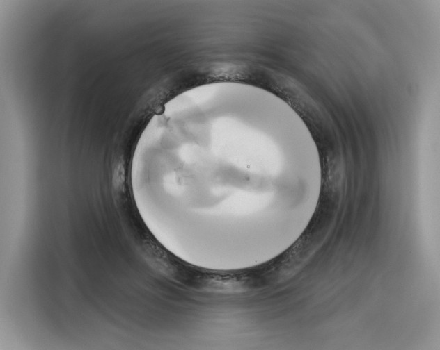 X0000115090502200911241216