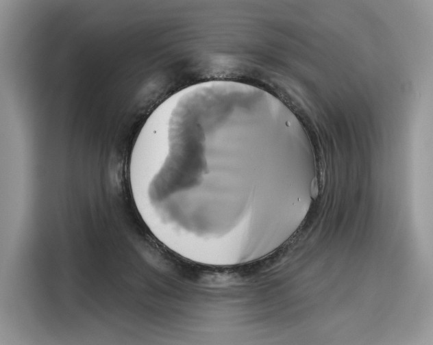 X0000115090503200911241216