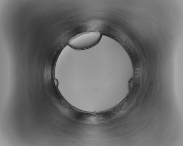 X0000115090504200911241216