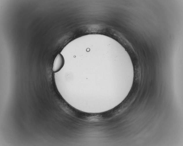 X0000115090505200911241216