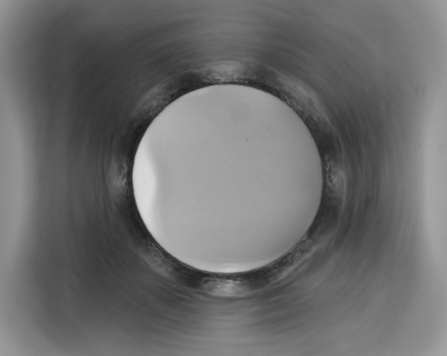 X0000115090507200911241216