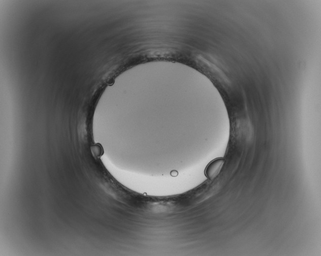 X0000115090508200911241216