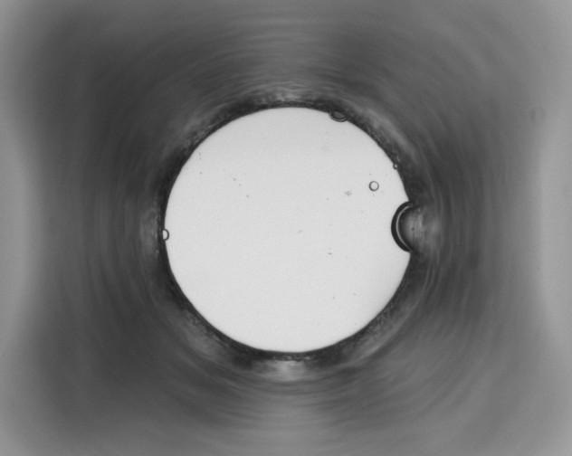 X0000115090509200911241216