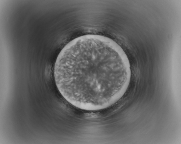 X0000115090511200911241216