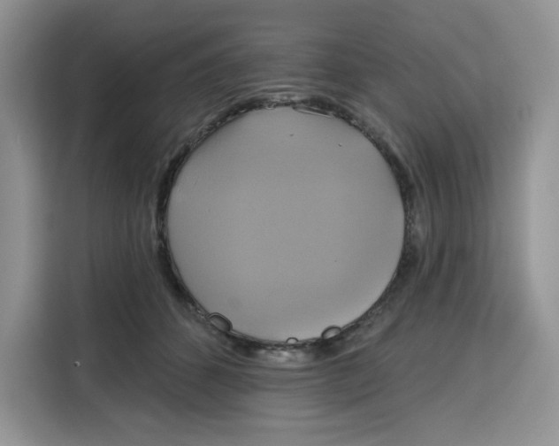 X0000115090512200911241216