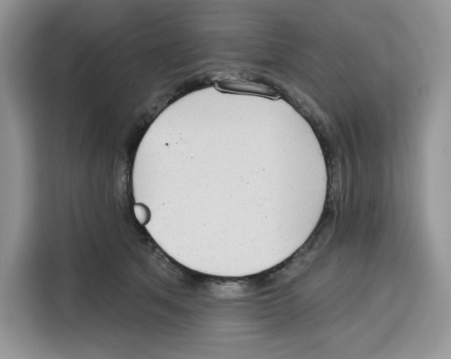 X0000115090513200911241216