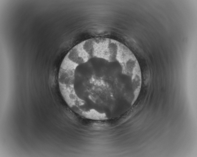 X0000115090515200911241216