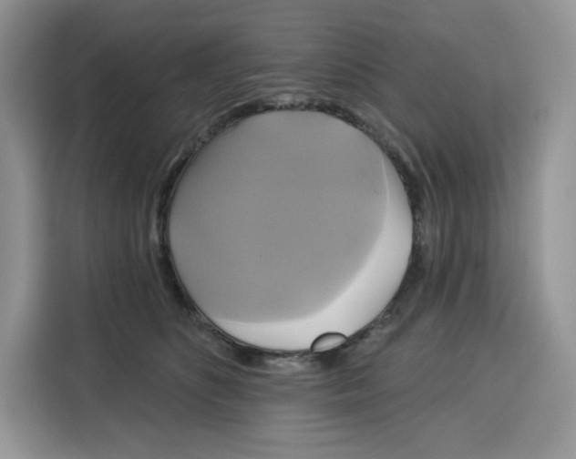 X0000115090516200911241216