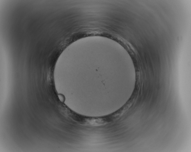 X0000115090517200911241216