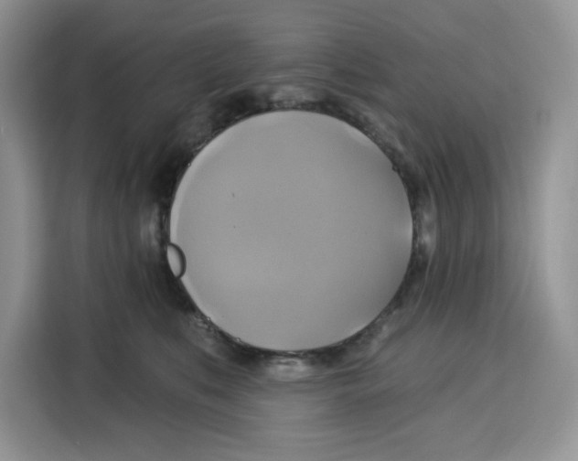 X0000115090519200911241216